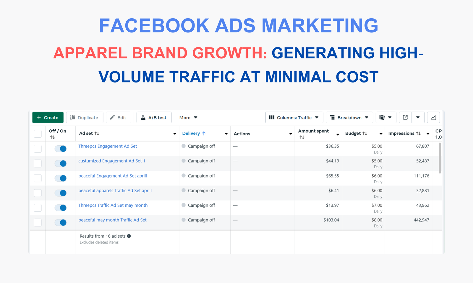 Ads Campaign Result 5